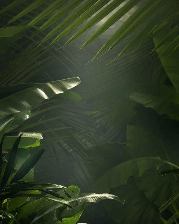 Jungle leaves